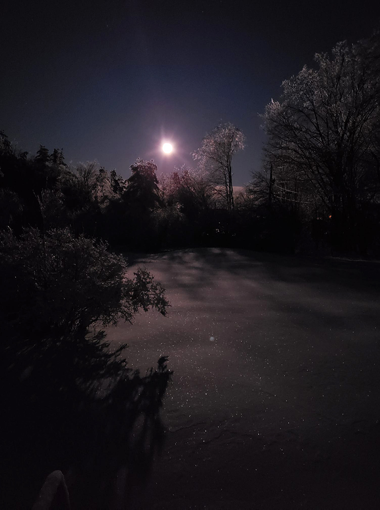 The moon shines on a lake covered in sparkling ice and frozen snow surrounded by icy trees in the darkness.